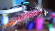 Video thumb for Furled worm
